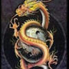 flashdragon42
